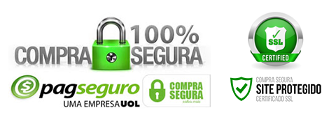 Formas de pagamento e segurança - PagSeguro